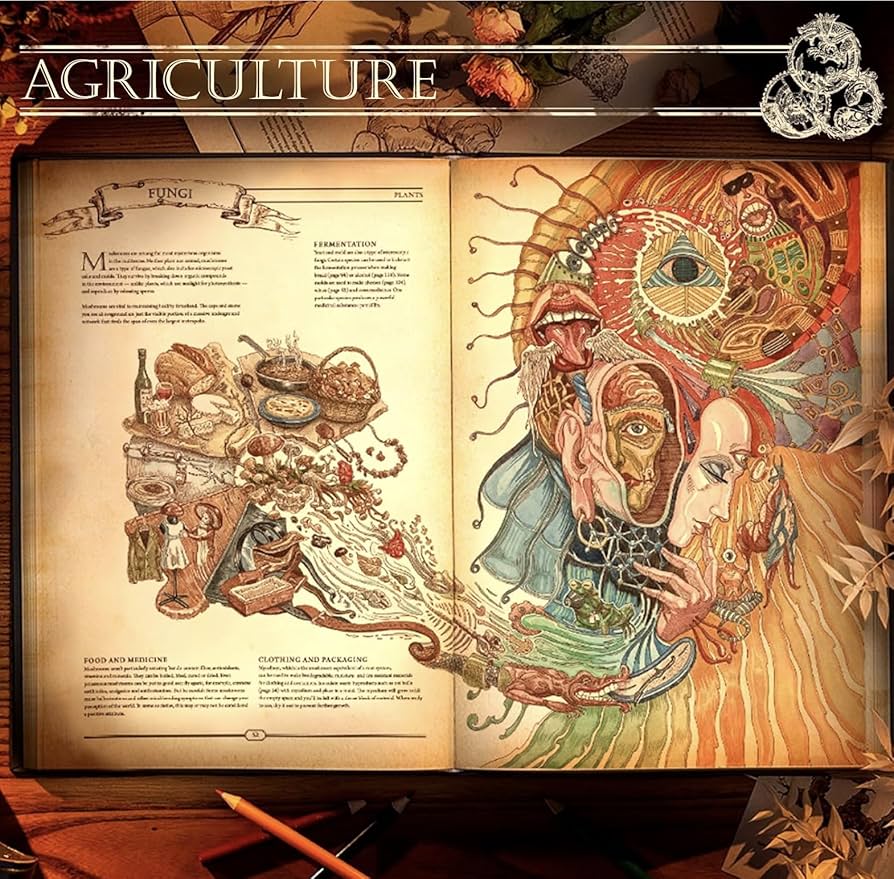 Amazon.co.jp: The Book. The Ultimate Guide to Rebuilding a